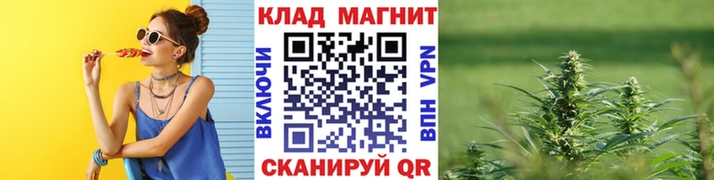 Все наркотики Александровск Cocaine ГАШ MEGA ссылки Канабис Амфетамин